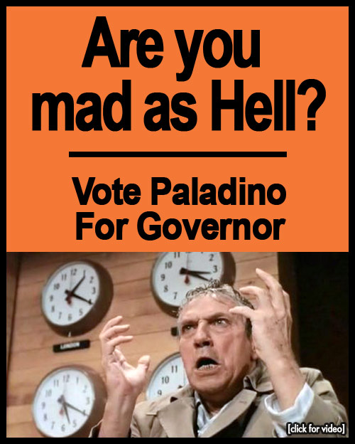 Image: Paladino Campaign.