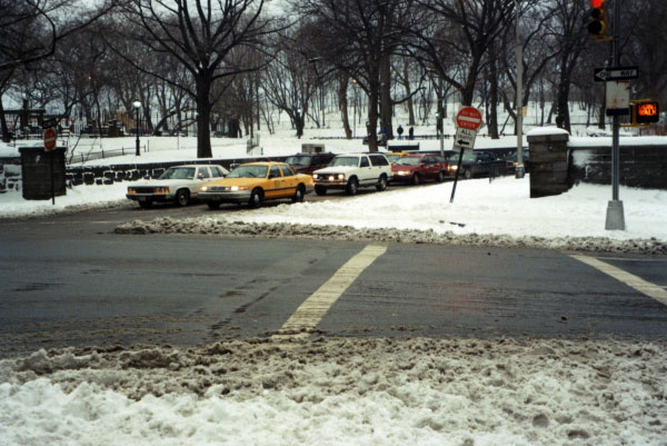 central_park_snow