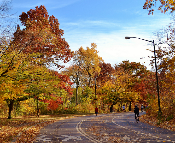 A pleasant, car-free Central Park. Photo: gigi_nyc/Flickr