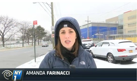 Amanda Farinacci witnessed a “notorious” speed camera lighting up outside a Staten Island elementary school, but saw no speeding drivers. Image: NY1