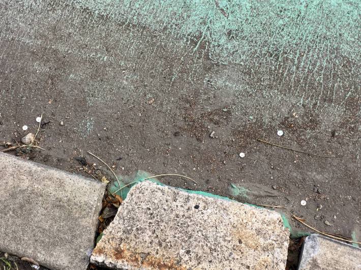 Thumbtacks spotted in the 43rd Avenue protected bike lane. Photo: Office of Council Member Jimmy Van Bramer