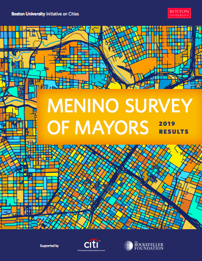 menino survey cover