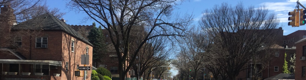 Gov. Cuomo and Mayor de Blasio should create more open streets like this — minus the cops.