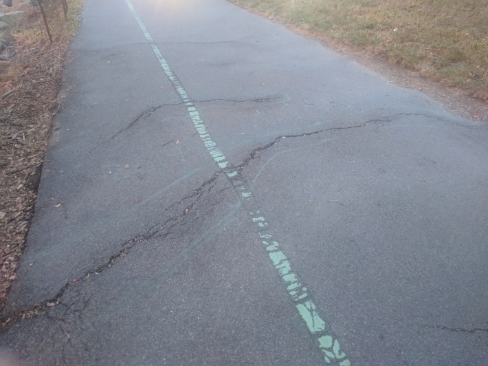 Cracks caused by tree roots in the Cherry Walk, near 104th Street. Photo provided by Peter Beadle