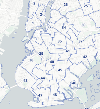 Brooklyn council districts