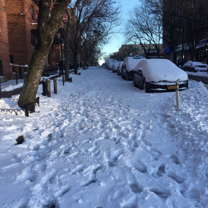 The Skillman Avenue protected bike lane was impassible late into the afternoon of the first snowstorm of the 2020-21 winter. Photo: Alan Baglia