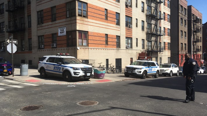 Police cruisers parked haphazardly on a sidewalk. Why not? It's the Bronx! Photo: Eve Kessler