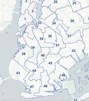 brooklyn council districts