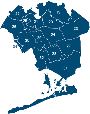 Queens council districts