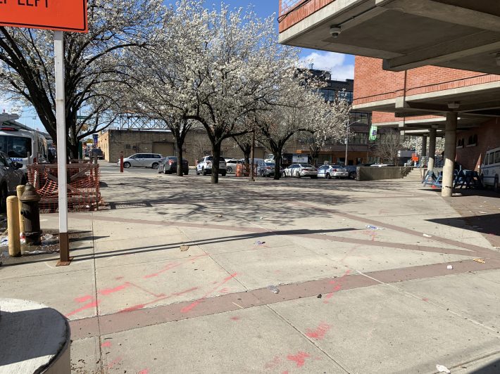 No cars. And there are even dogwood trees.