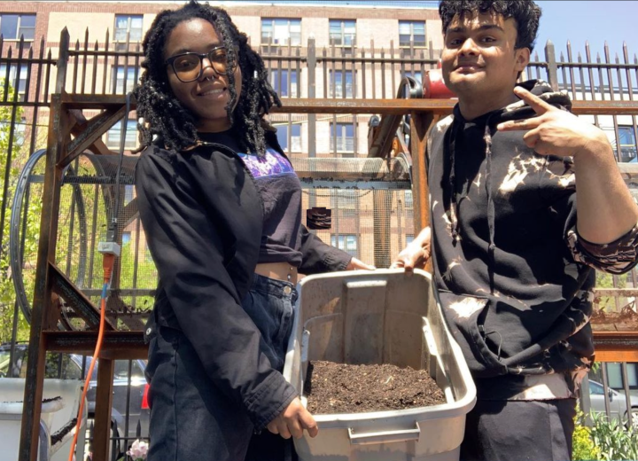 OPINION It's Time To Mandate Composting Citywide Streetsblog New