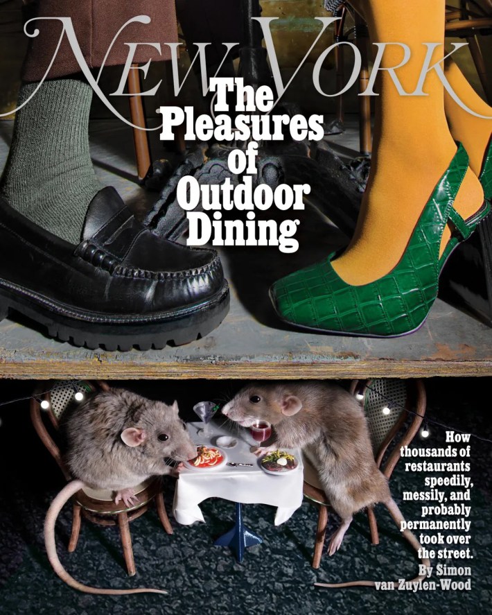 The New York Magazine cover.