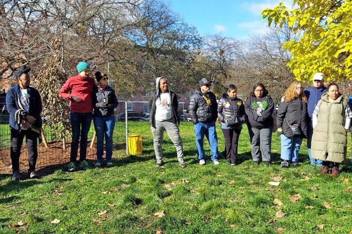 Families for Safe Streets volunteers have been working with the Parks Department on the grove since January. Photo: Families for Safe Streets