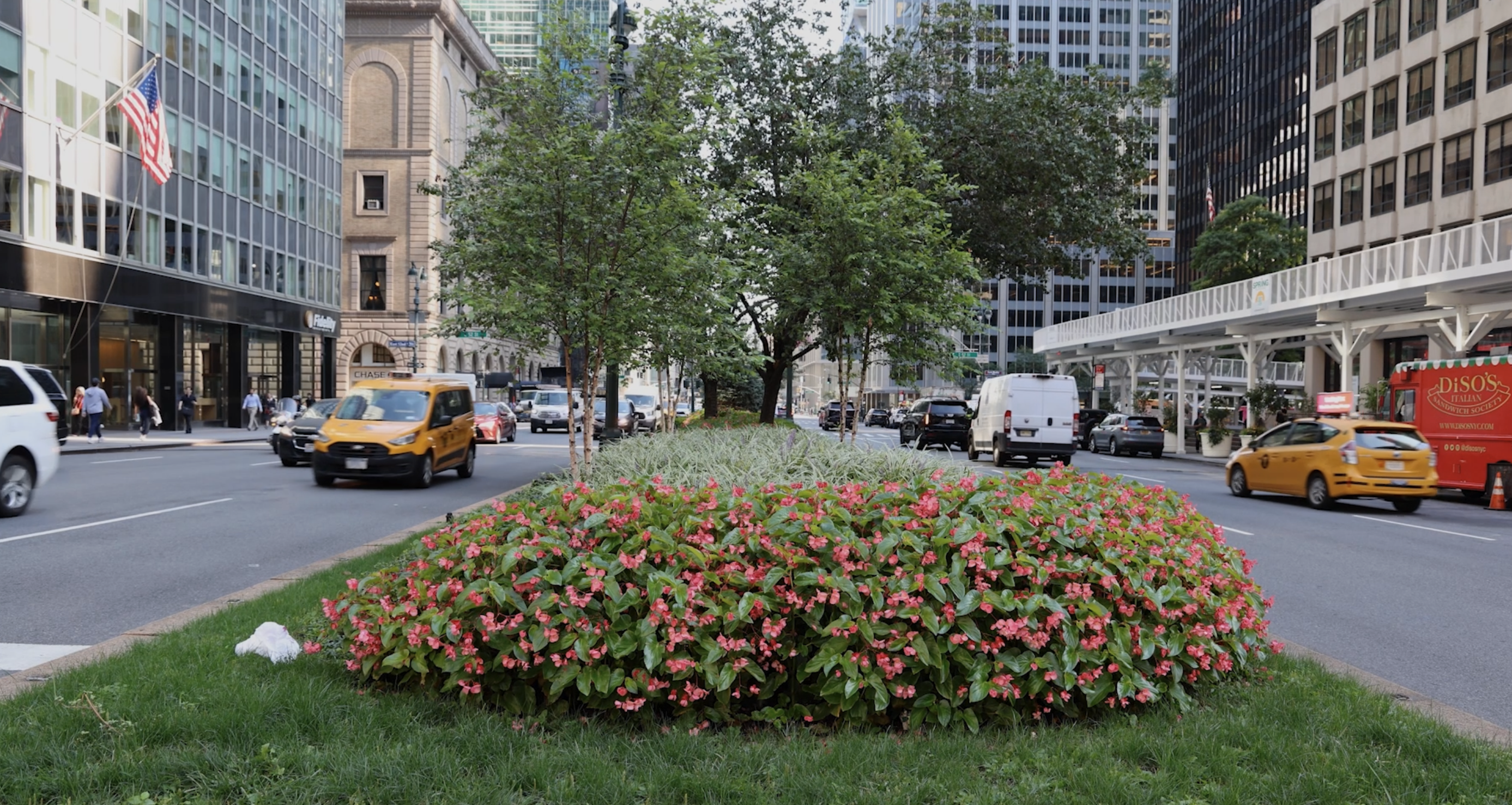 NYC Council Approves Bill to Greenery Up City Medians: Will It Actually Happen?