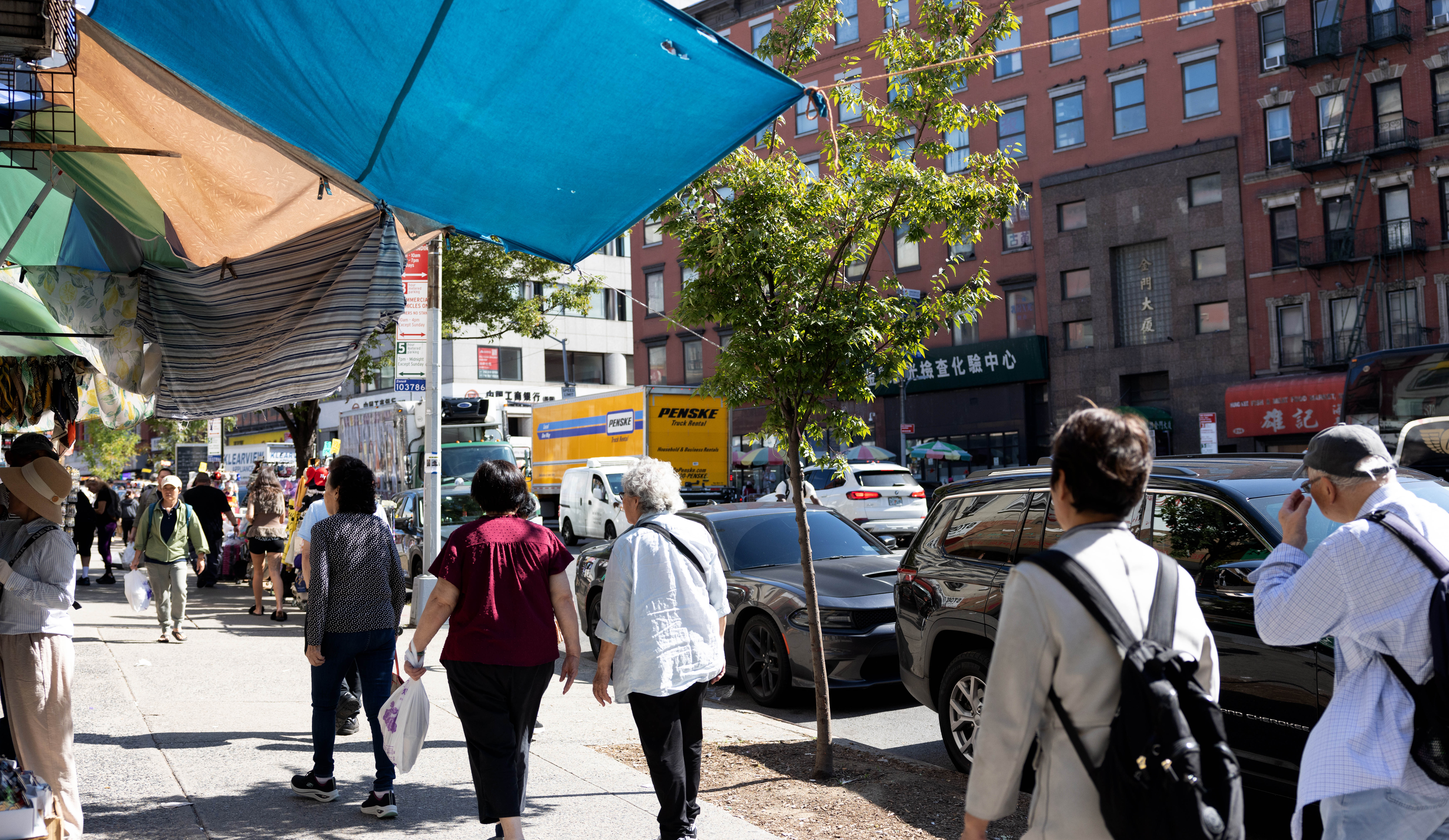 Parks Dept. to Canal Street: 'No Trees for You!' - Streetsblog New York City